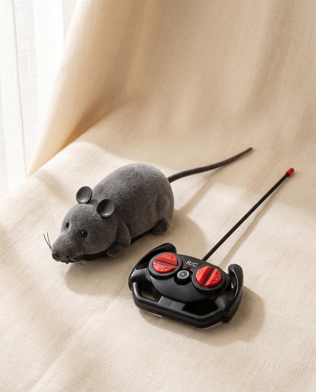 The Zoomie Mouse and remote