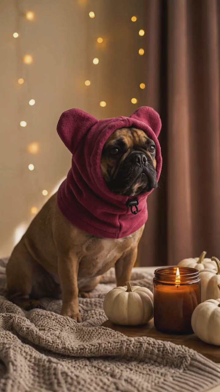 Cozy in The Snuggle Hood