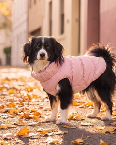 The Mini Puffer
